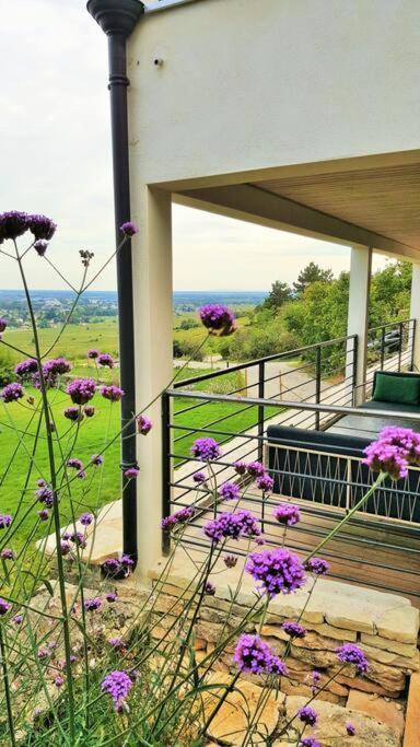 La Maison De L'Ecu : Charme Et Vue Incroyable Beaune  Zewnętrze zdjęcie