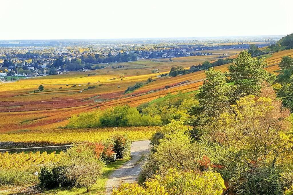 La Maison De L'Ecu : Charme Et Vue Incroyable Beaune  Zewnętrze zdjęcie