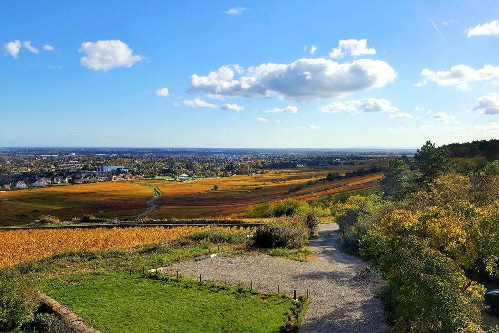 La Maison De L'Ecu : Charme Et Vue Incroyable Beaune  Zewnętrze zdjęcie