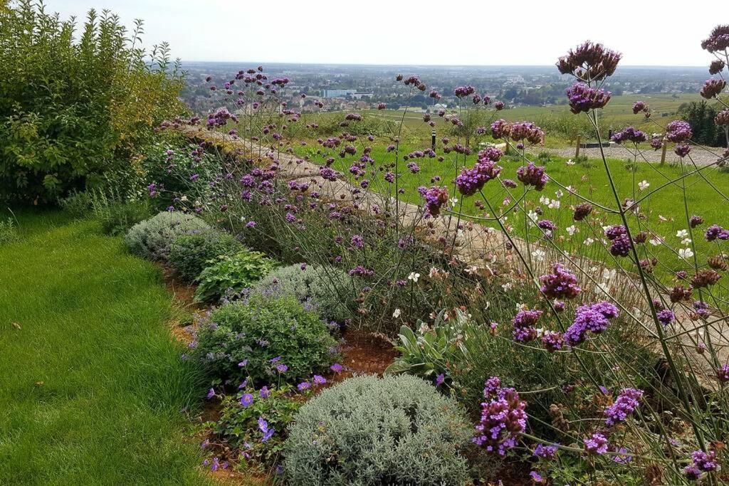 La Maison De L'Ecu : Charme Et Vue Incroyable Beaune  Zewnętrze zdjęcie